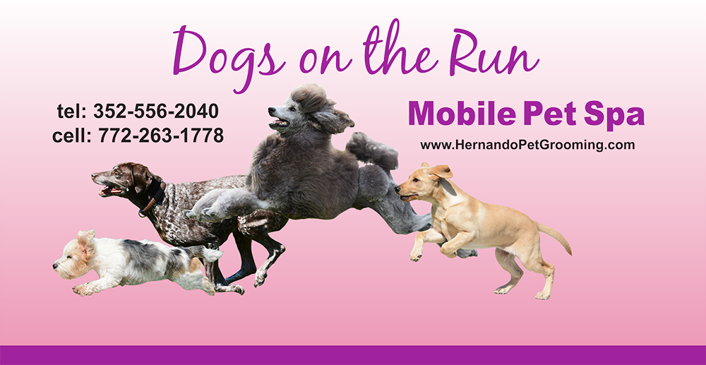 Dogs on the Run, mobile dog grooming